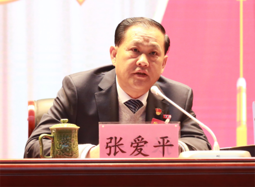张爱平同志宣读中共开云(中国)Kaiyun·官方网站第一届党委成员分工及纪委成员分工